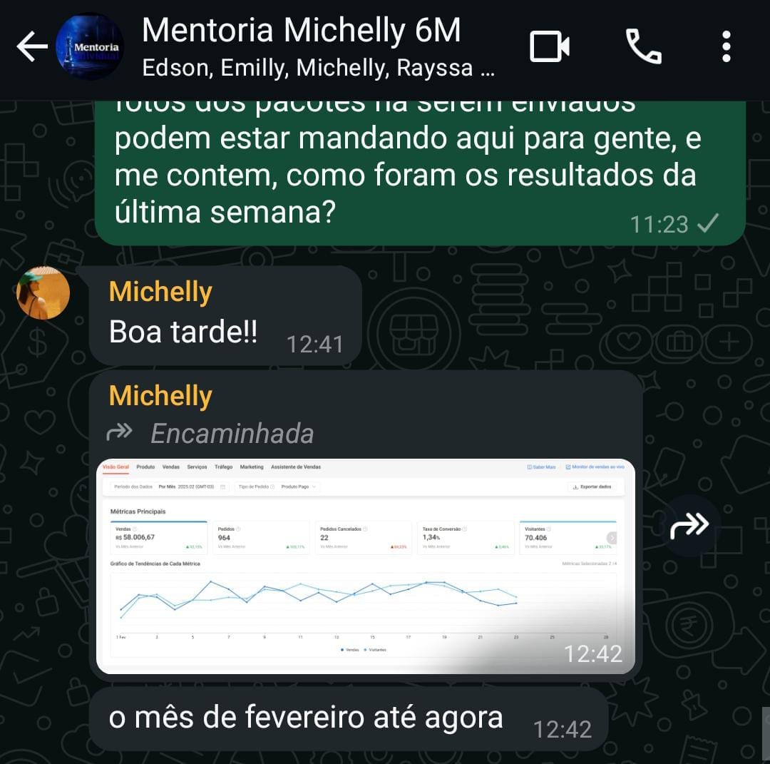 Faturamento Michelly